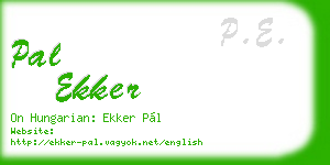 pal ekker business card
