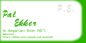 pal ekker business card